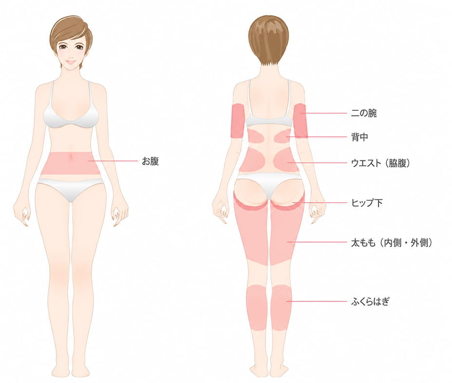 施術可能部位
