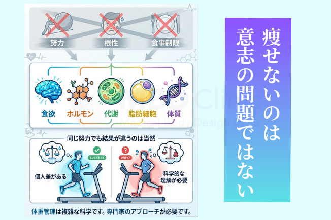 医学的に痩せない理由