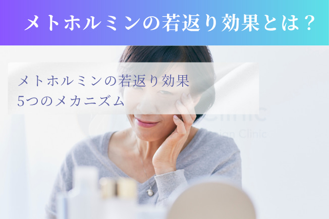 メトホルミンの若返り効果とは?