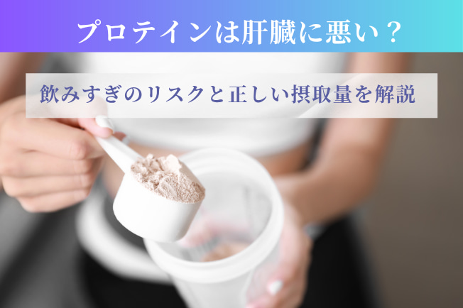 プロテイン肝臓