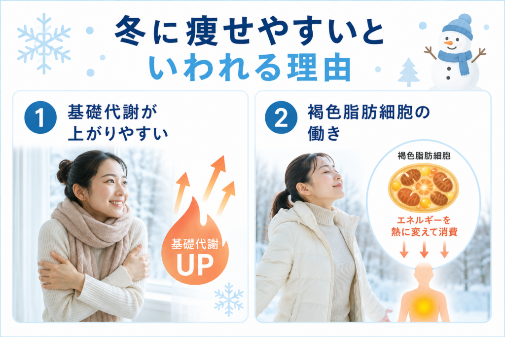 夏と冬どっちが痩せる