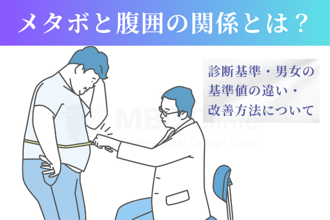 メタボと腹囲の関係とは？
