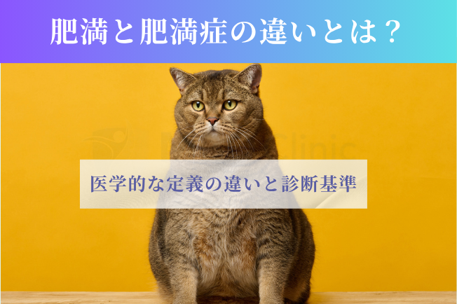 肥満と肥満症の違い