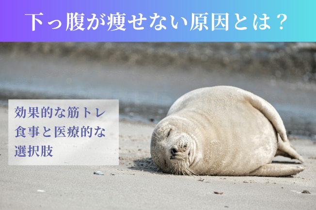 下っ腹が痩せない原因