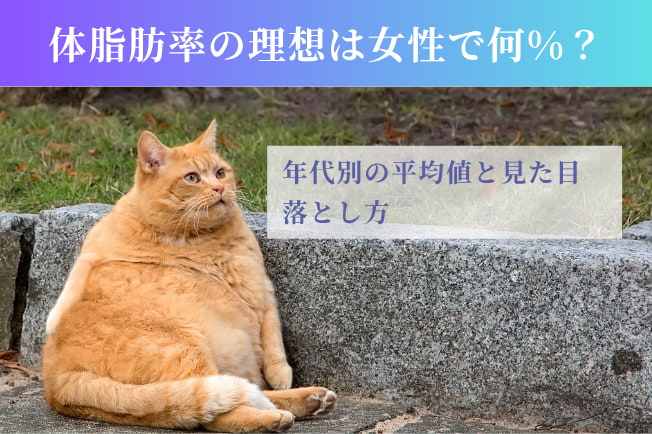 体脂肪率の理想は女性で何%?