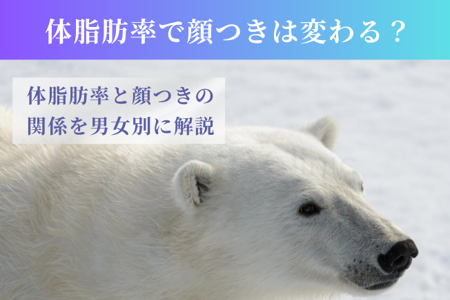 体脂肪率で顔つきは変わる