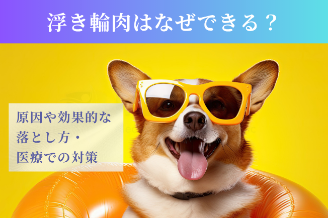 浮き輪肉